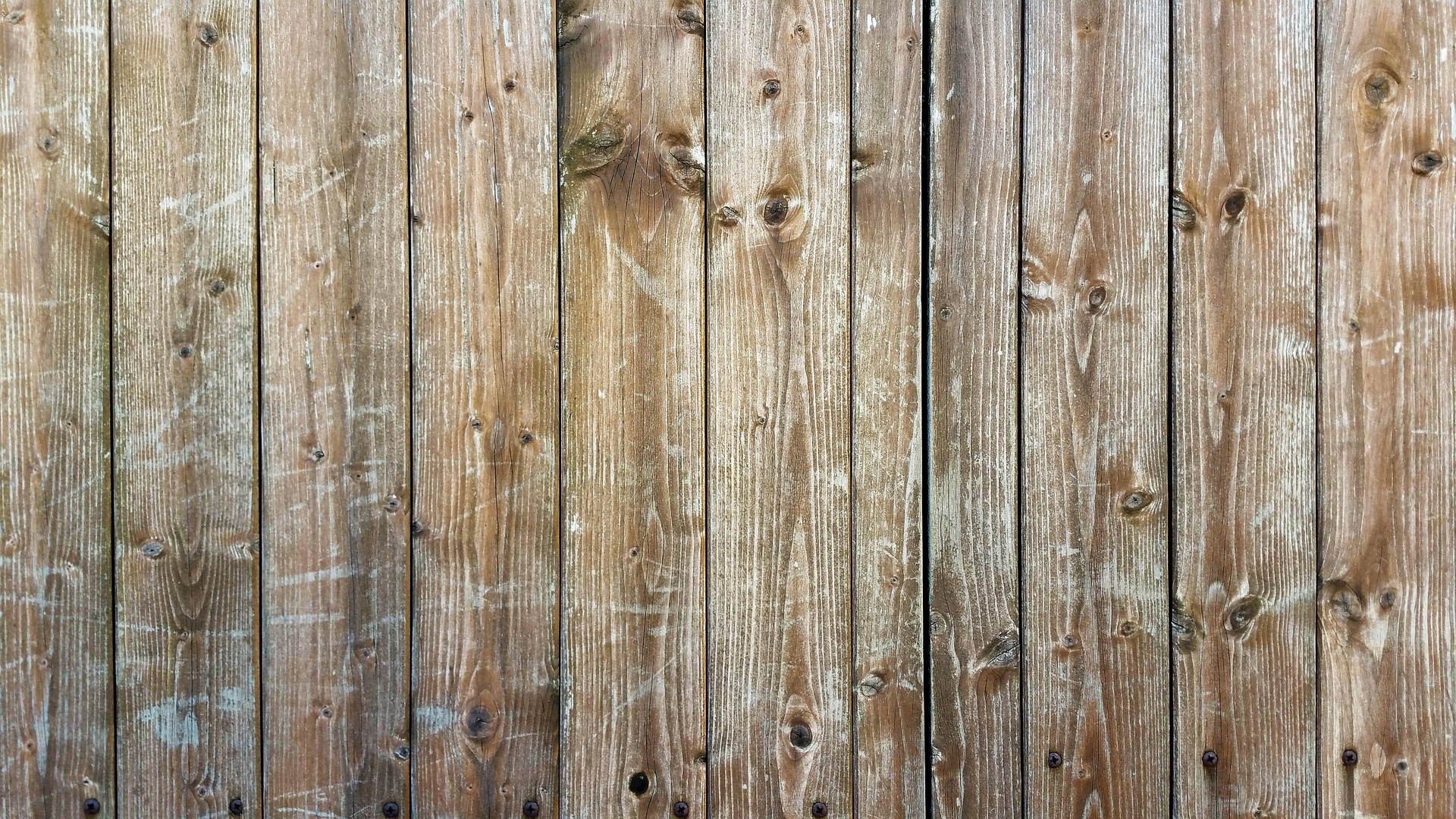 Can You Use Decking Stain On Fences? elevatedecking.co.uk